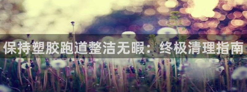 谈球吧体育app下载中心官方：保持塑胶跑道整洁无暇：终极清理指南