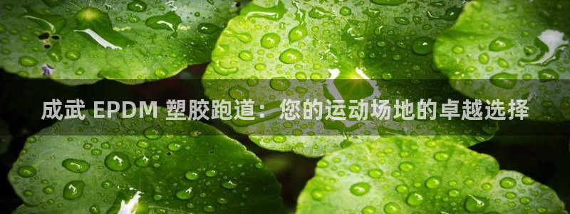 谈球吧体育app下载足球比赛直播：成武 EPDM 塑胶跑道：您的运动场地的卓越选择