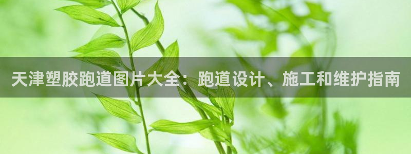 谈球吧电子：天津塑胶跑道图片大全：跑道设计、施工和维