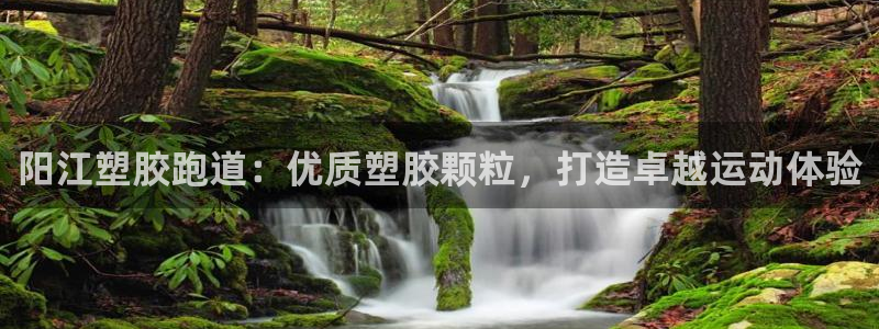 谈球吧网站：阳江塑胶跑道：优质塑胶颗粒，打造卓越运动体验
