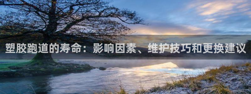 谈球吧属于哪个：塑胶跑道的寿命：影响因素、维护技巧和更换建议
