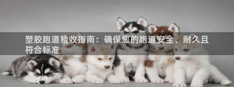谈球吧网页登录：塑胶跑道验收指南：确保您的跑道安全、耐久且
符合标准