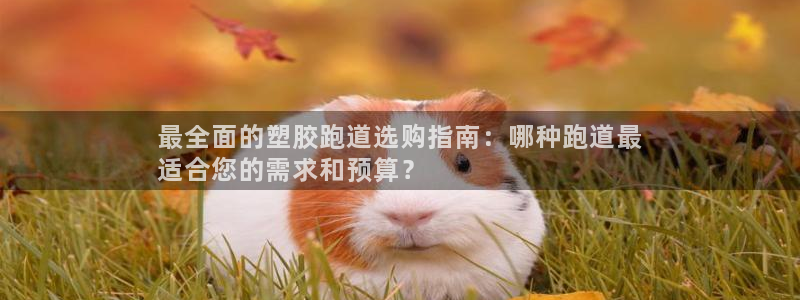 谈球吧-体育赛事：最全面的塑胶跑道选购指南：哪种跑道