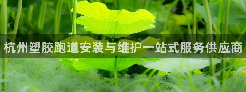 谈球吧app在哪里下载