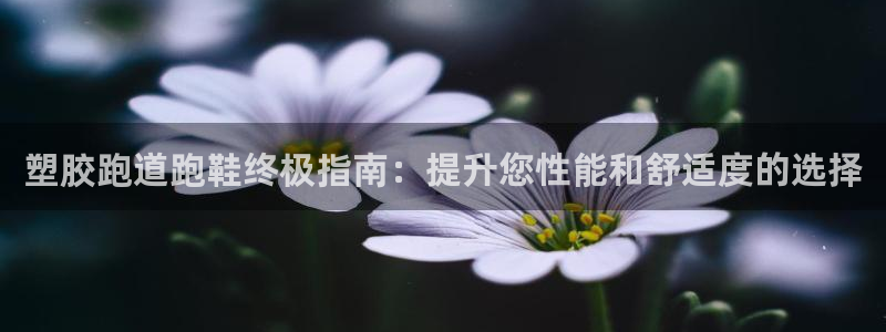 谈球吧体育app登陆不上：塑胶跑道跑鞋终极指南：提升您性能和舒适度的选择