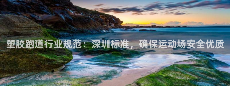 谈球吧体育app官网下载安卓：塑胶跑道行业规范：深圳标准，确保运动场安全优质
