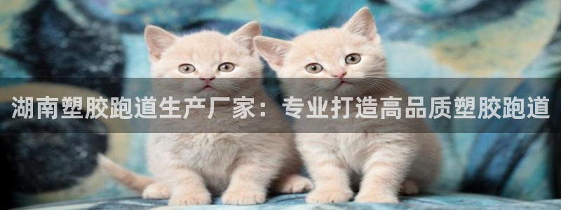 谈球吧言网入口：湖南塑胶跑道生产厂家：专业打造高品质塑胶跑道
