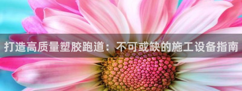 谈球吧体育app下载官网苹果手机：打造高质量塑胶跑道：不可或缺的施工设备指南