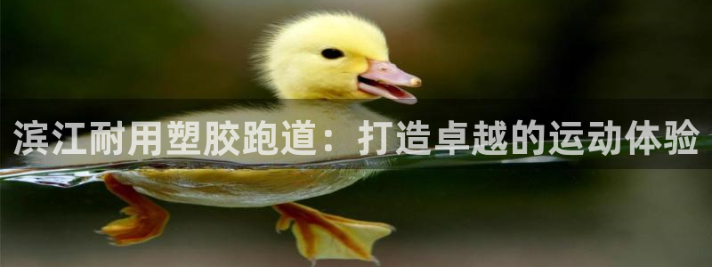 谈球吧平台正规吗可靠吗知乎：滨江耐用塑胶跑道：打造卓越的运动体验