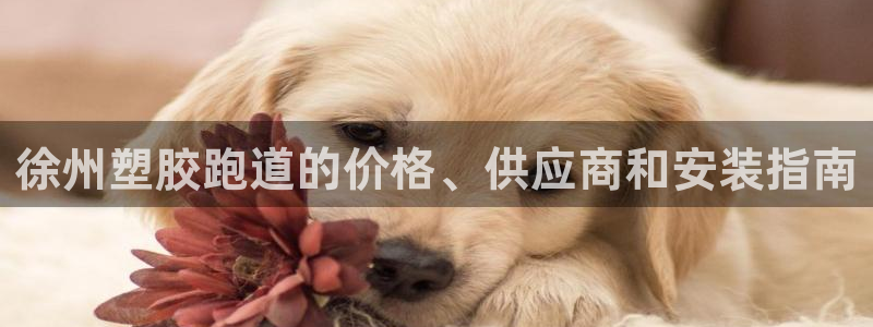 谈球吧首页：徐州塑胶跑道的价格、供应商和安装指南