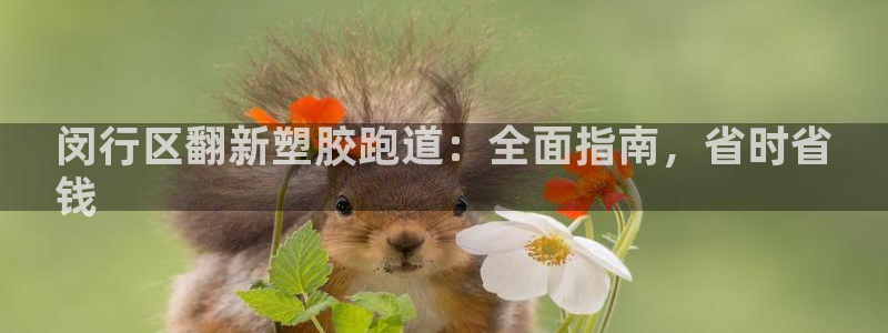 谈球吧在线登录：闵行区翻新塑胶跑道：全面指南，省时省
钱