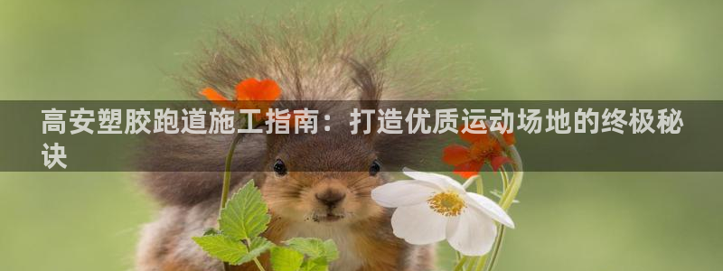 谈球吧入口：高安塑胶跑道施工指南：打造优质运动场地的终极秘
诀