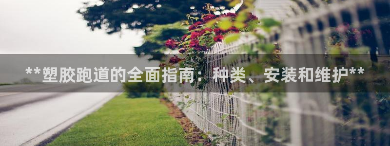谈球吧官网在线入口手机版下载：**塑胶跑道的全面指南：种类、安装和维护**