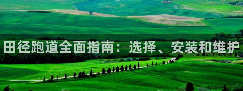 谈球吧入口：田径跑道全面指南：选择、安装和维护