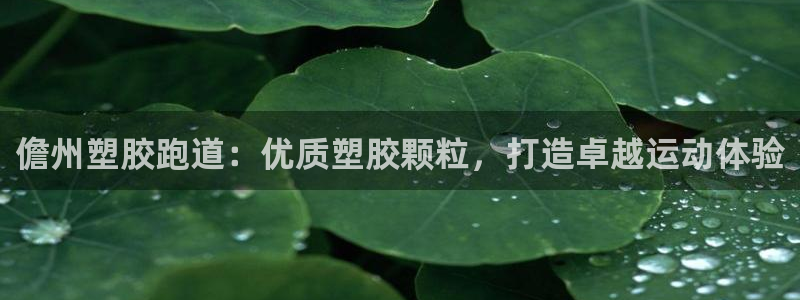 谈球吧App：儋州塑胶跑道：优质塑胶颗粒，打造卓越运