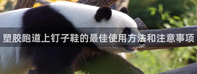 谈球吧官网在线入口免费观看视频下载：塑胶跑道上钉子鞋的最佳使用方法和注意事项