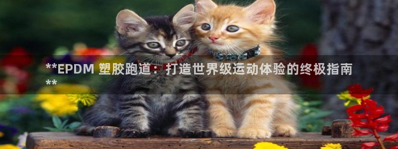 谈球吧可靠吗：**EPDM 塑胶跑道：打造世界级运动体验的终极指南
**