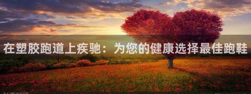 谈球吧官网app：在塑胶跑道上疾驰：为您的健康选择最佳跑鞋