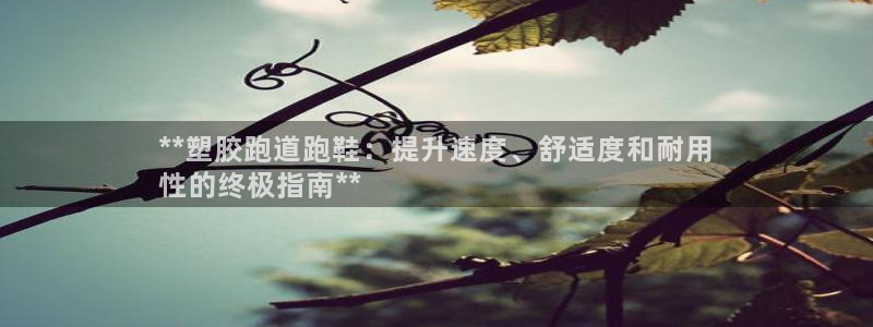 谈球吧平台app：**塑胶跑道跑鞋：提升速度、舒适度和耐用
性的终极指南**