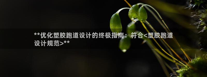 谈球吧体育app下载官网苹果版：**优化塑胶跑道设计的终极指南：符合<塑胶跑道
设计规范>**