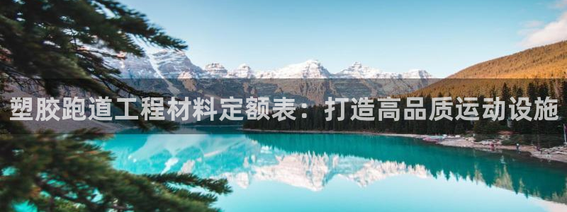 谈球吧官网在线入口免费观看视频下载：塑胶跑道工程材料定额表：打造高品质运动设施