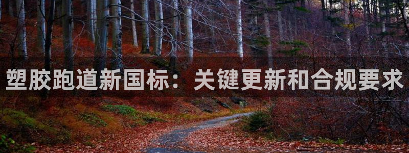 谈球吧app下载安装：塑胶跑道新国标：关键更新和合规要求