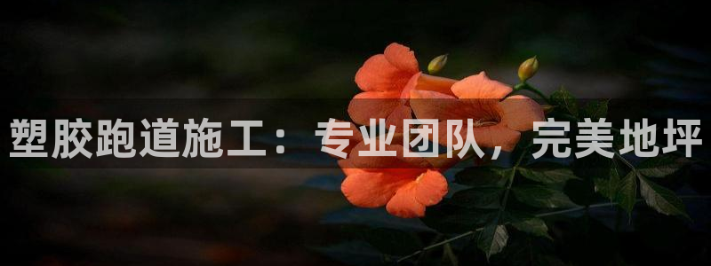 谈球吧是正规平台吗安全吗
