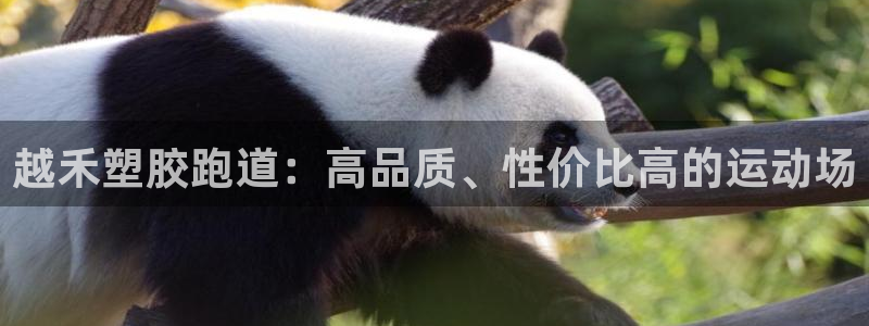 谈球吧算违法行为吗：越禾塑胶跑道：高品质、性价比高的运动场