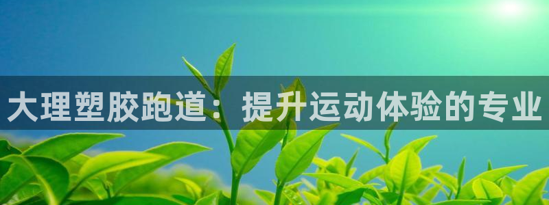 谈球吧app在哪里下载：大理塑胶跑道：提升运动体验的专业