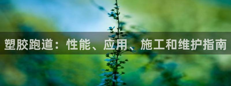 谈球吧体育app下载中心在哪找：塑胶跑道：性能、应用、施工和维护指南