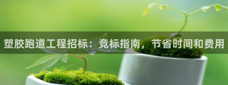 谈球吧平台正规吗可信吗安全吗：塑胶跑道工程招标：竞标指南，节省时间和费用