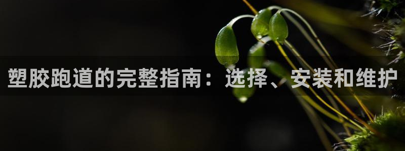 谈球吧中国官方网站：塑胶跑道的完整指南：选择、安装和维护