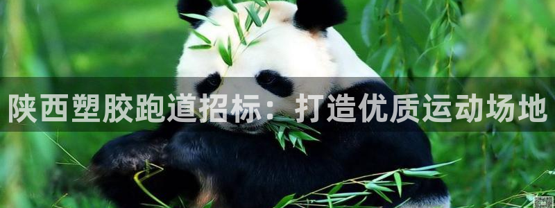 谈球吧APP：陕西塑胶跑道招标：打造优质运动场地