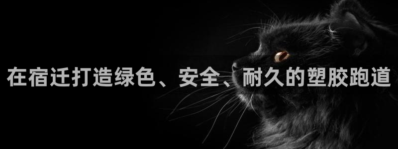 谈球吧的聊天软件叫什么名字：在宿迁打造绿色、安全、耐久的塑胶跑道