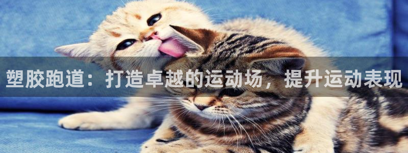 谈球吧是黑台子吗知乎全文：塑胶跑道：打造卓越的运动场，提升运动表现