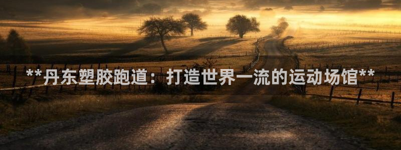 谈球吧app官网：**丹东塑胶跑道：打造世界一流的运动场馆**