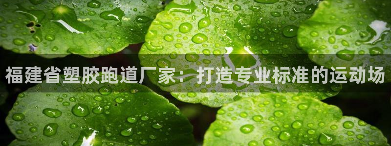 谈球吧体育app官网下载安卓：福建省塑胶跑道厂家：打