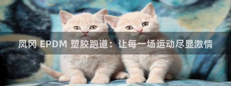 谈球吧-体育赛事：凤冈 EPDM 塑胶跑道：让每一场运动尽显激情
