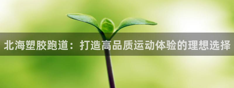 谈球吧算违法行为吗：北海塑胶跑道：打造高品质运动体验的理想选择