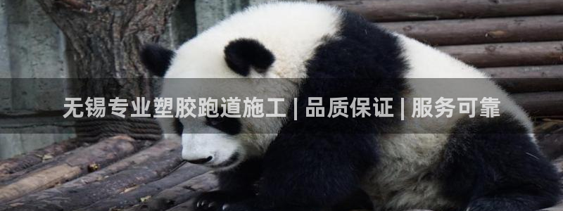 谈球吧官网在线入口免费观看高清版：无锡专业塑胶跑道施工 | 品质保证 | 服务可靠