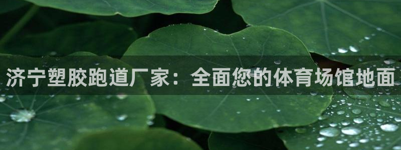 谈球吧属于哪个旗下的品牌：济宁塑胶跑道厂家：全面您的体育场馆地面