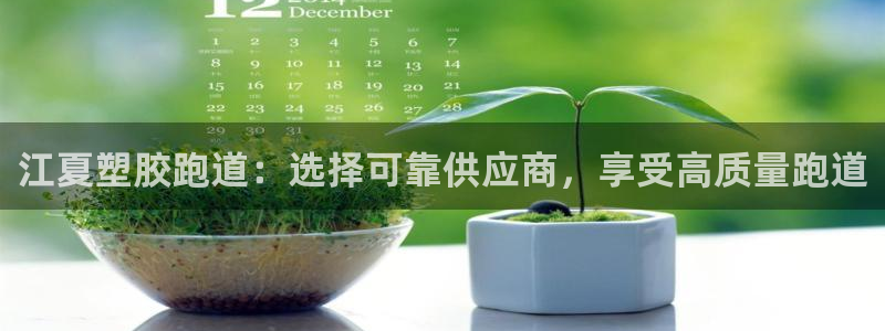 谈球吧入口：江夏塑胶跑道：选择可靠供应商，享受高质量跑道