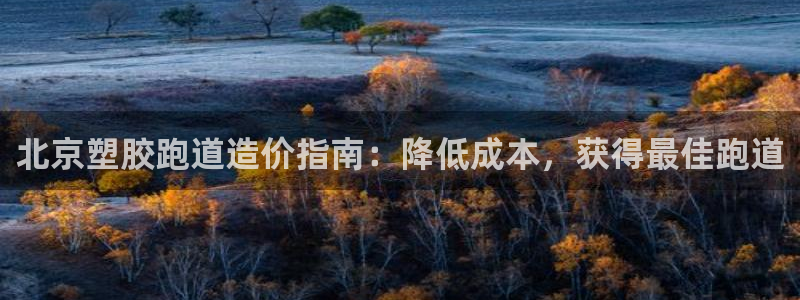 谈球吧靠谱吗：北京塑胶跑道造价指南：降低成本，获得最佳跑道