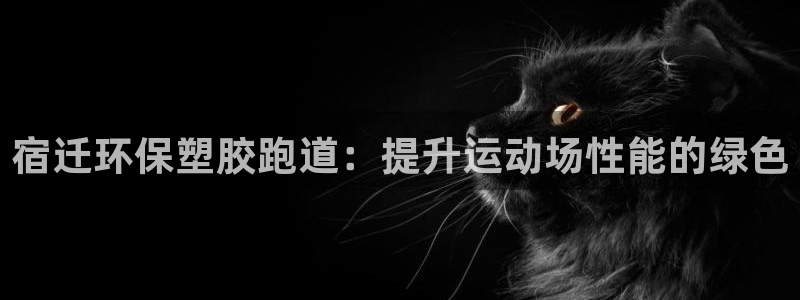 谈球吧平台：宿迁环保塑胶跑道：提升运动场性能的绿色
