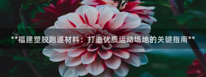谈球吧app官方下载：**福建塑胶跑道材料：打造优质运动场地的关键指南**