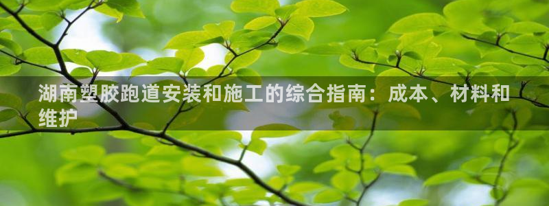 谈球吧官网在线入口手机版免费：湖南塑胶跑道安装和施工的综合指南：成本、材料和
维护