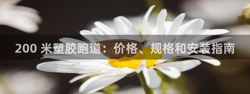 谈球吧app下载安装：200 米塑胶跑道：价格、规格