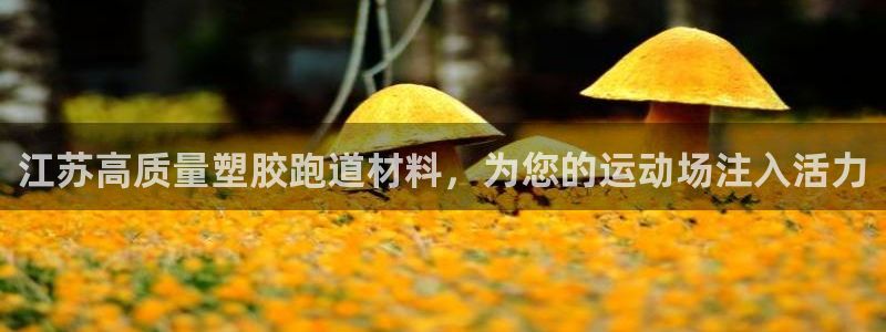 谈球吧官网在线入口手机版下载安装：江苏高质量塑胶跑道