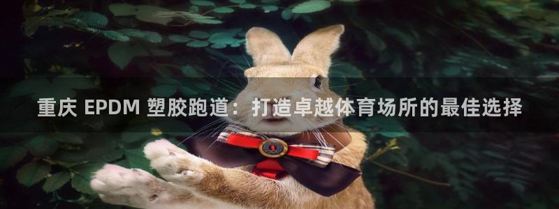 谈球吧app赛事分析在哪里看到：重庆 EPDM 塑胶跑道：打造卓越体育场所的最佳选择
