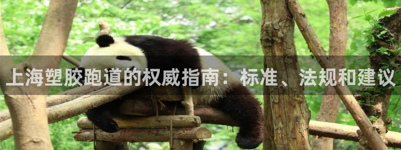 谈球吧体育app下载足球比赛：上海塑胶跑道的权威指南：标准、法规和建议